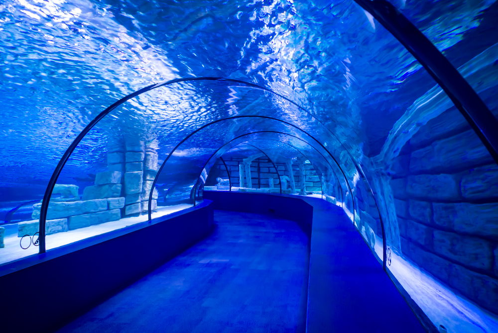 Antalya Aquarium Full-Day Tour in 2021
